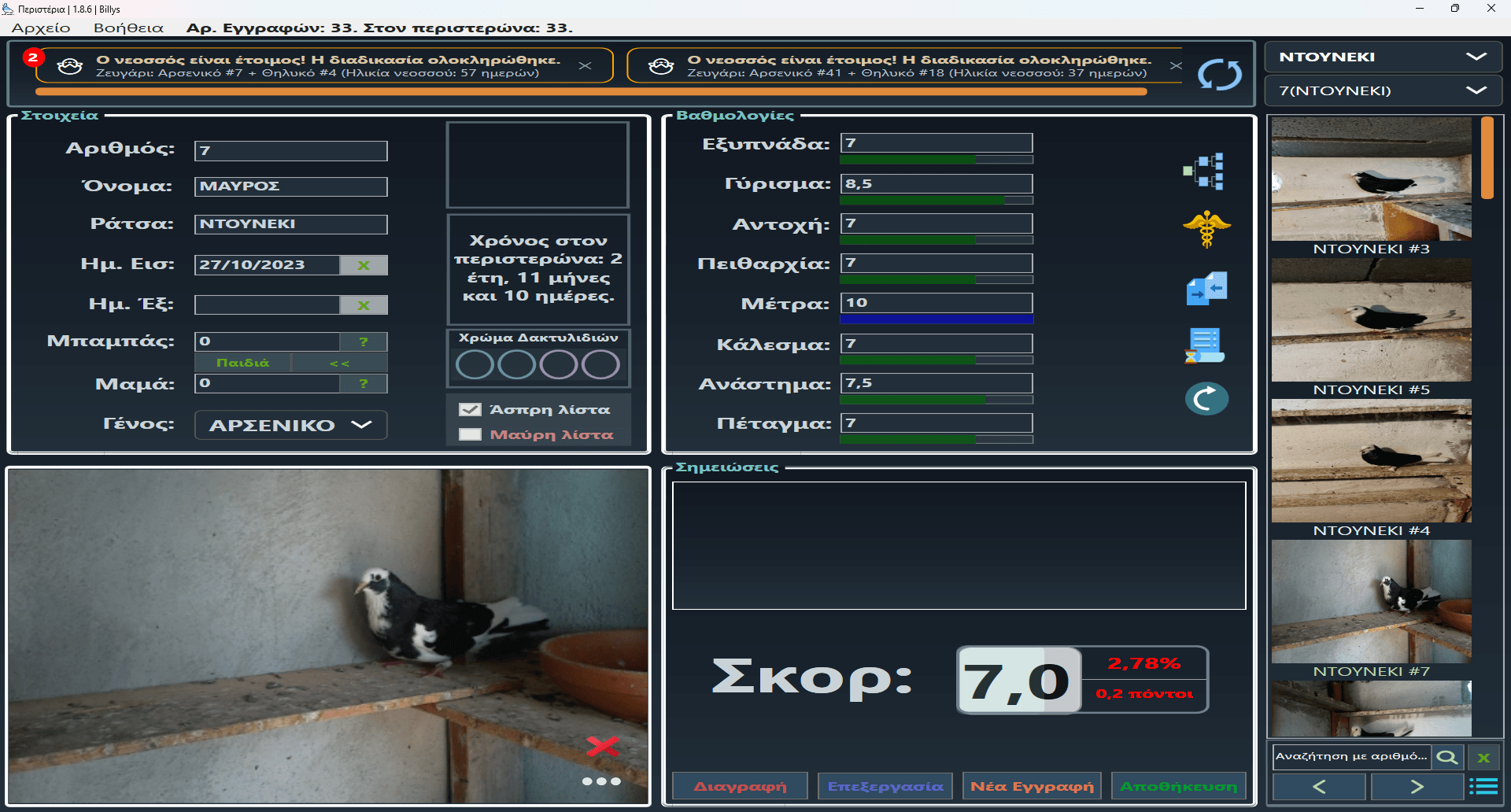 Περιστέρια για Windows Screenshot